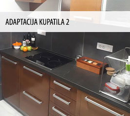 Adaptacija 2